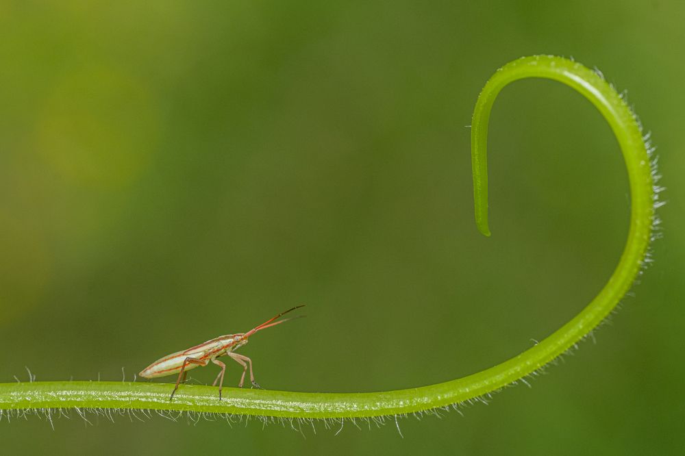 Photograph by БОРИС БЕЛКАНИЯ