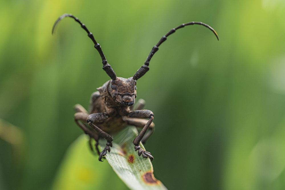 Photograph by БОРИС БЕЛКАНИЯ