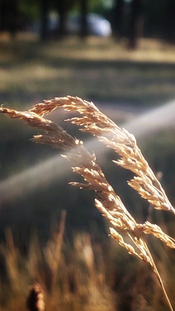 Photograph by Светлана Усатенко