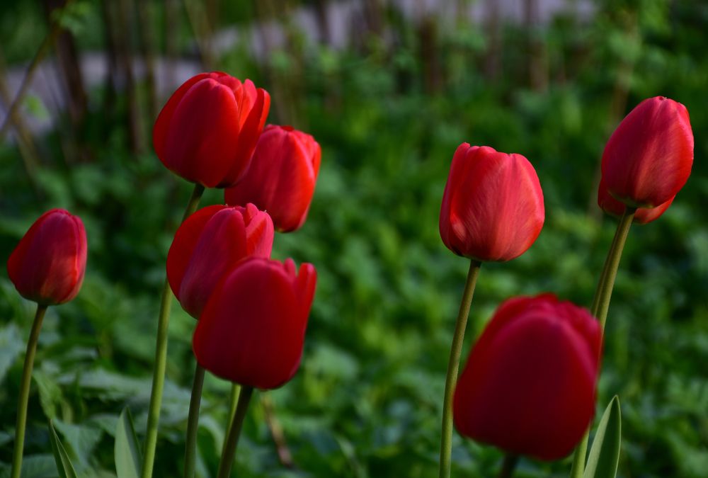 Photograph by Дмитрий Петров