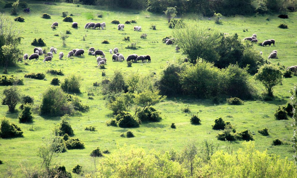 Photograph by Галина Ильясова