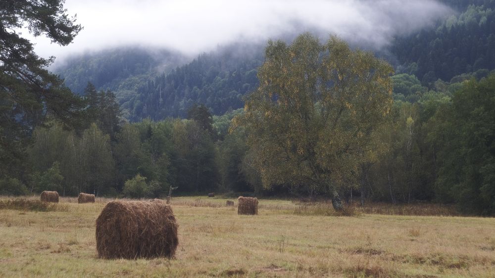 Photograph by Вадим Буцыкин