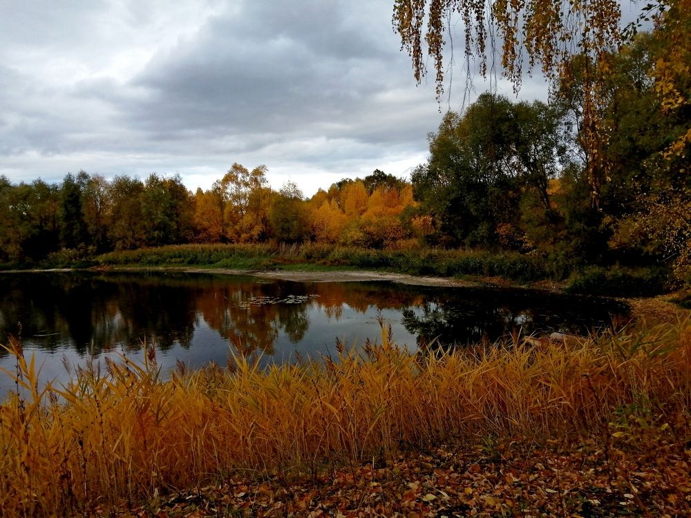 Photograph by Наталья Дубовкина