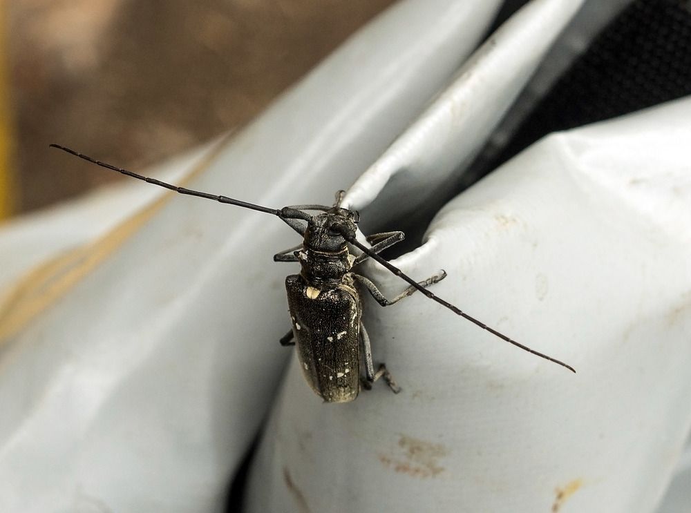 Photograph by Виктор Петров