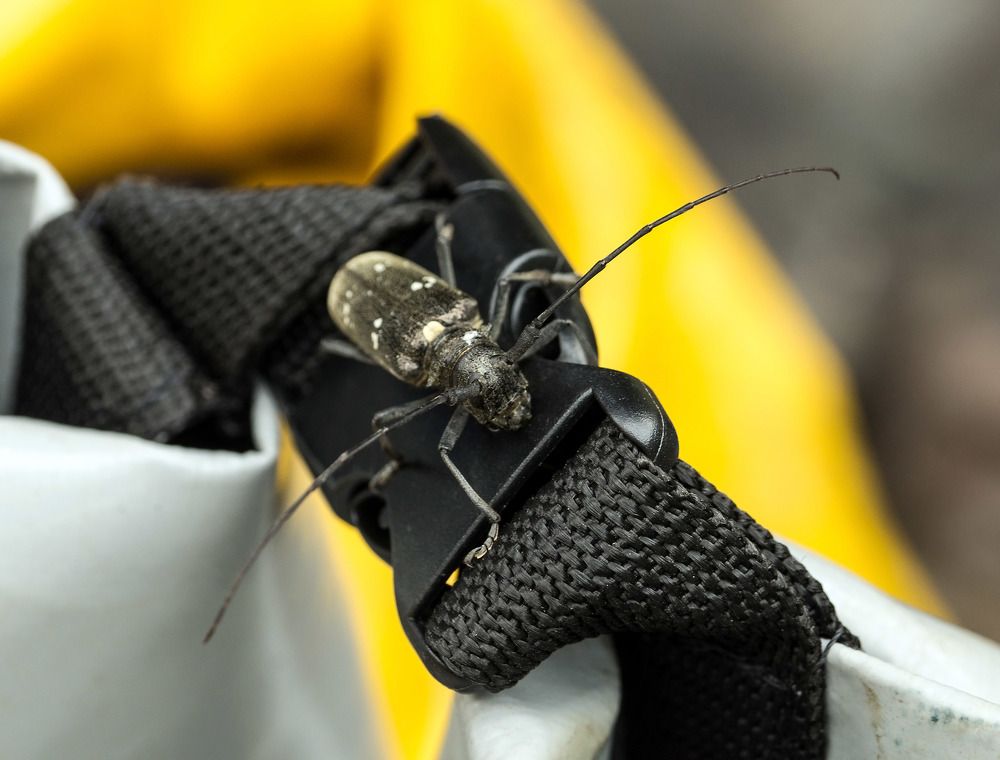 Photograph by Виктор Петров