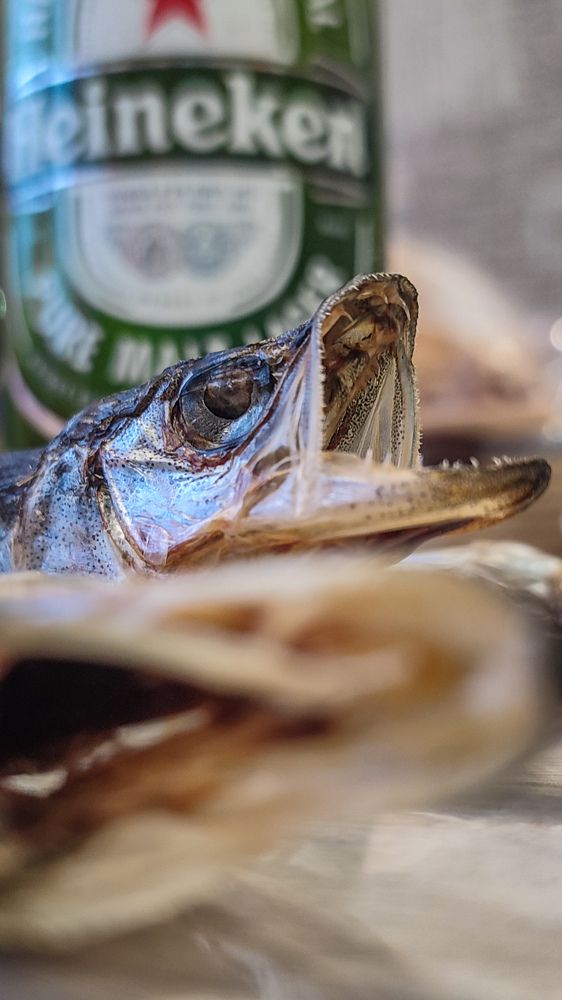 Фотография автора Анастасия Мамаева