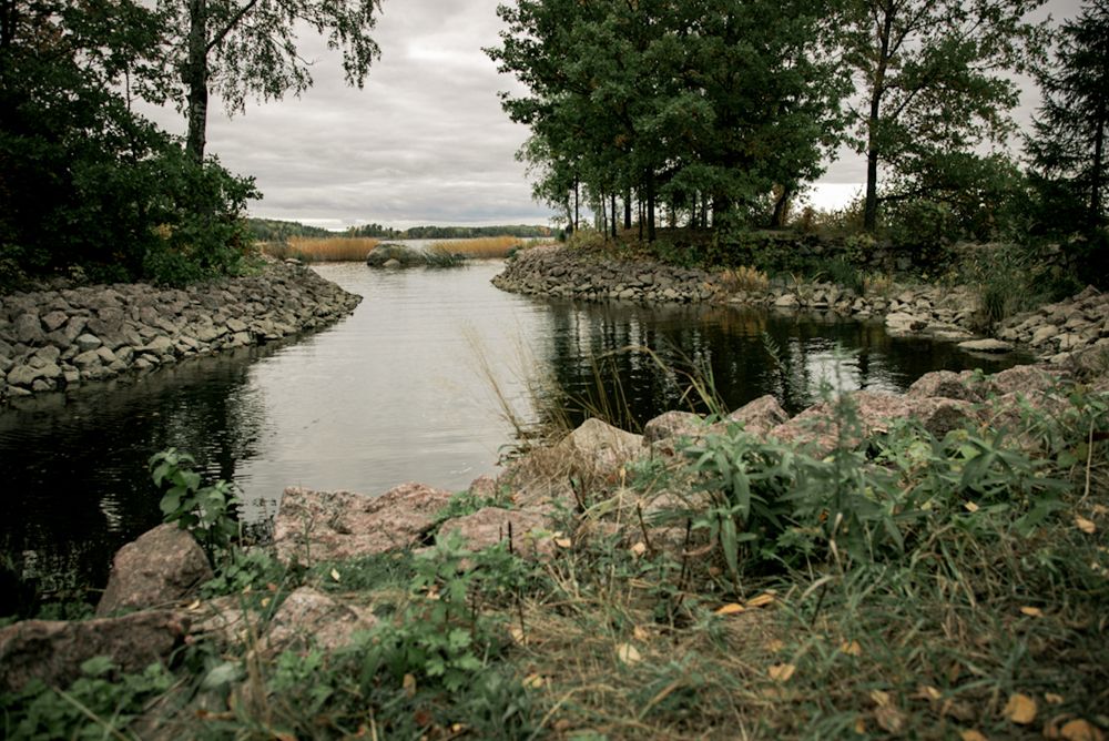 Photograph by Дарья Макаревич