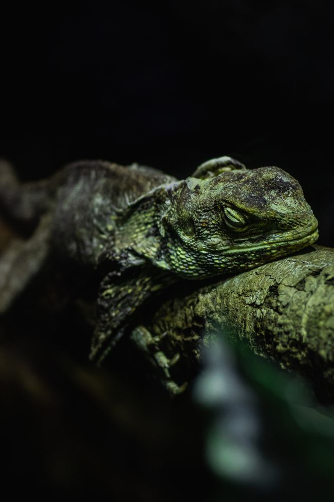 Photograph by Natali Filippova