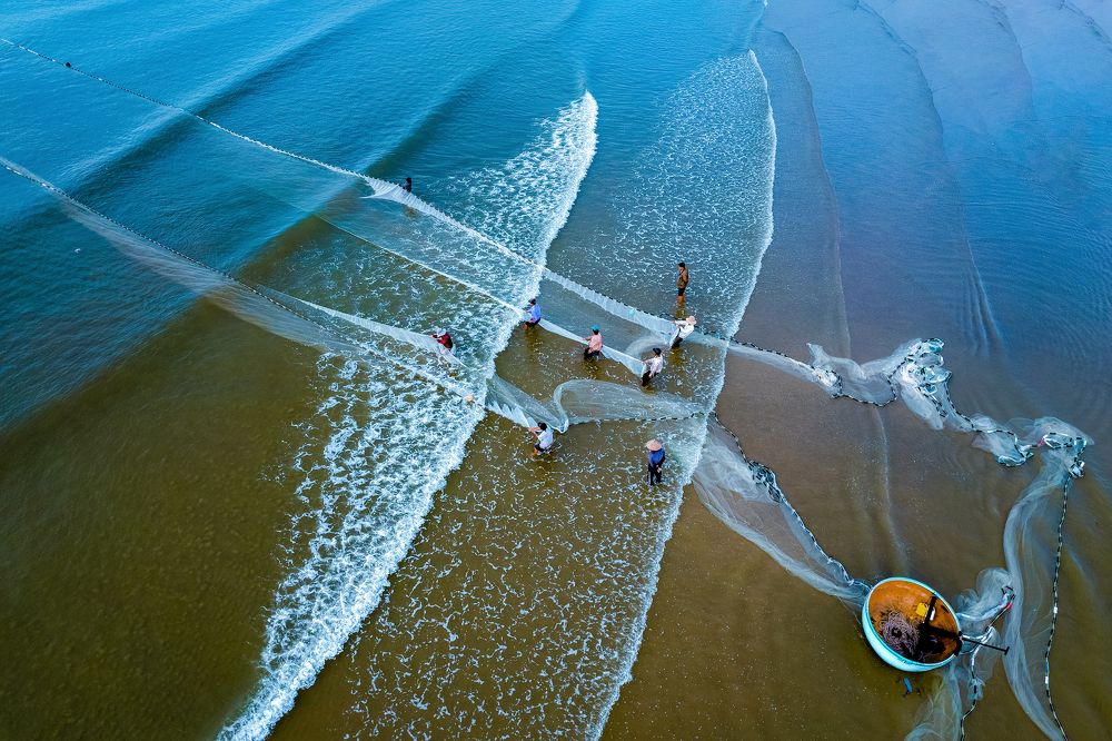 Kéo lưới  rùng tại biển TP Vũng Tàu