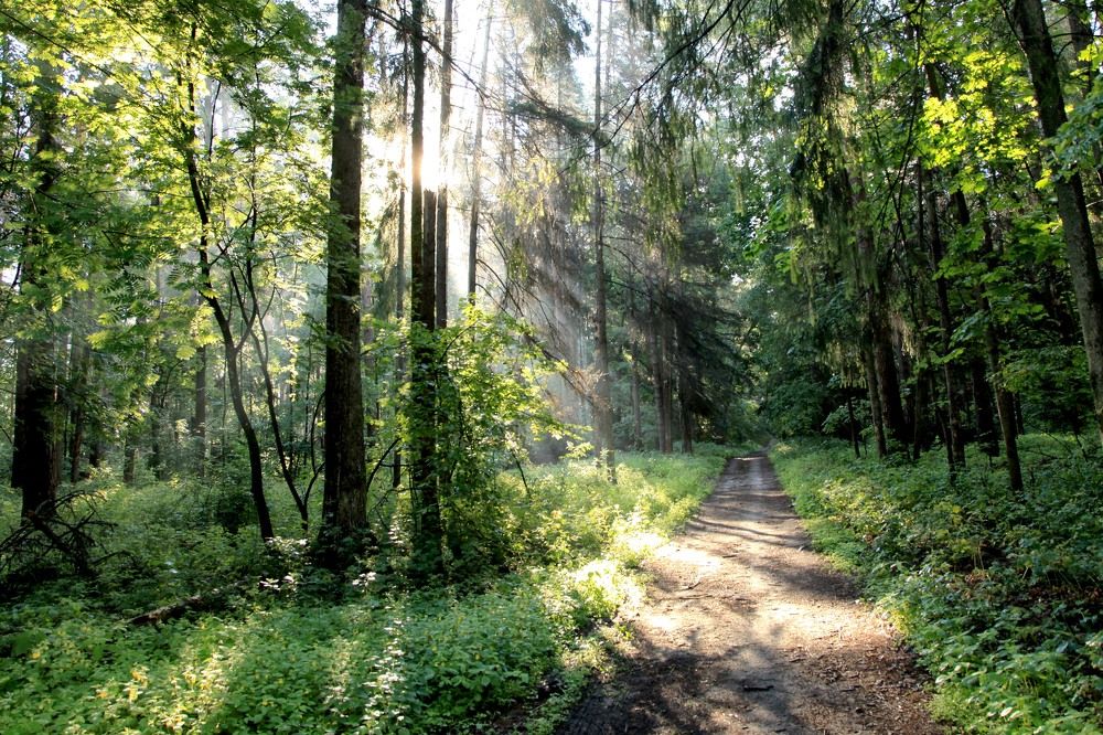 Photograph by Моложников Юрий