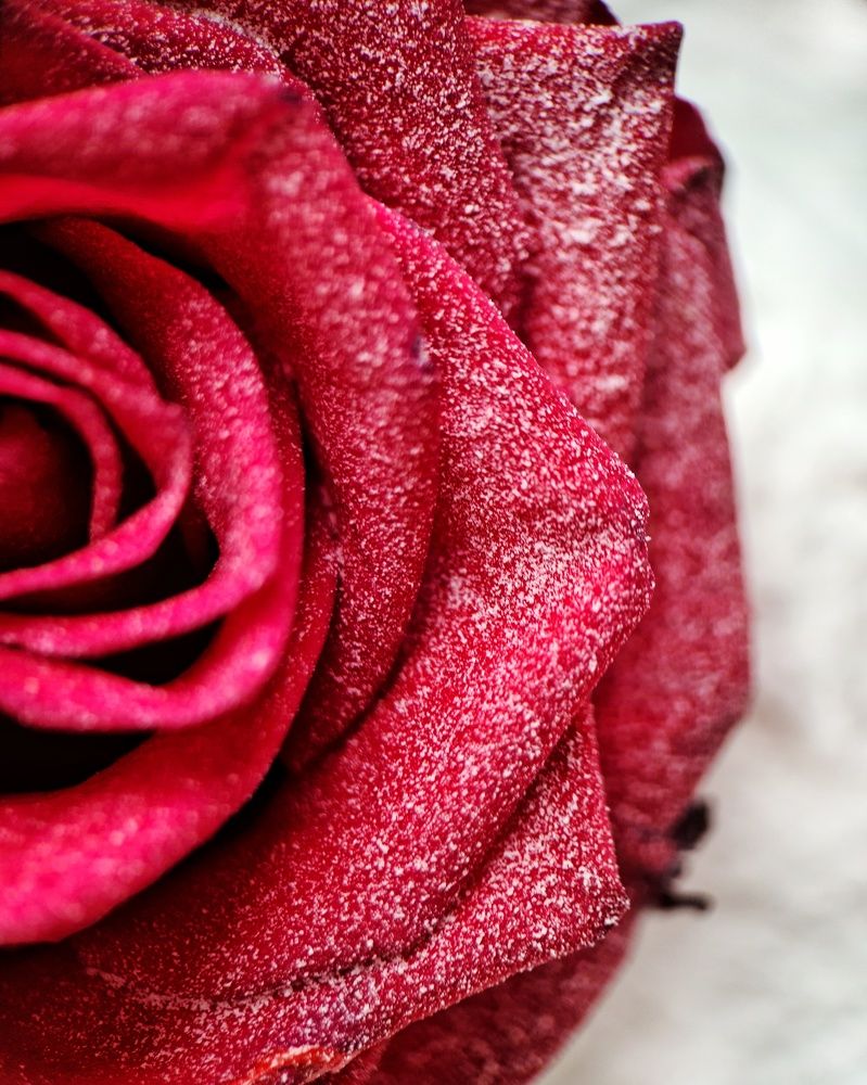 Photograph by Светлана Смирнова