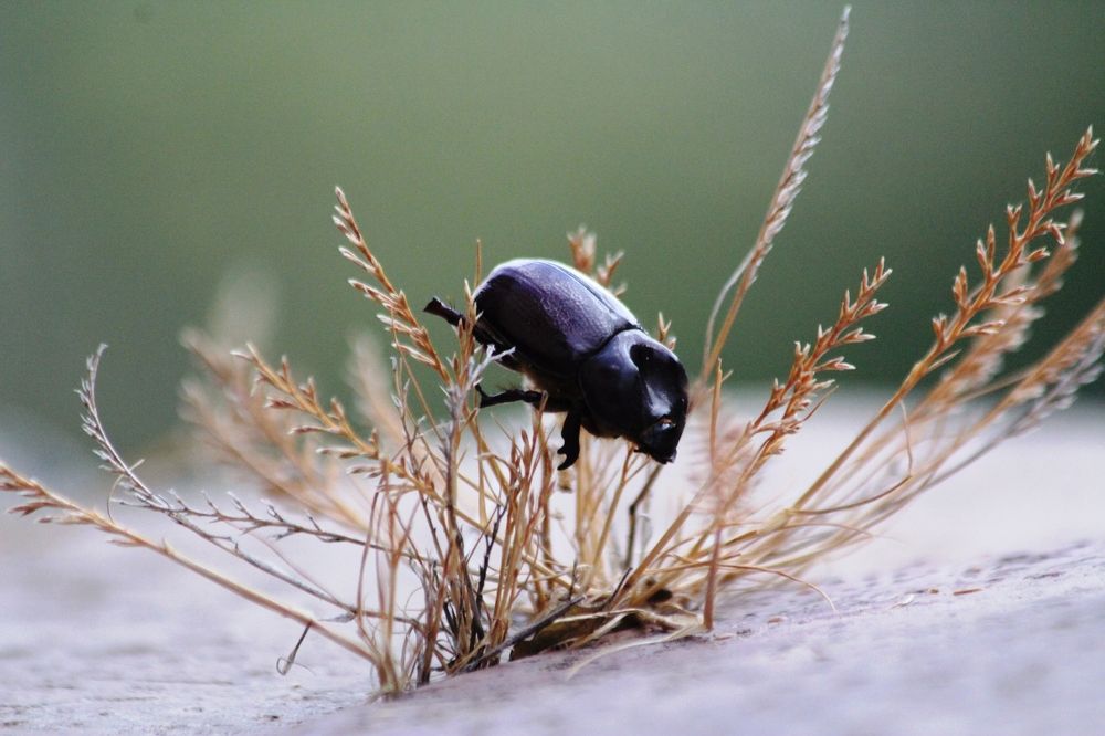 Photograph by Nadzeya