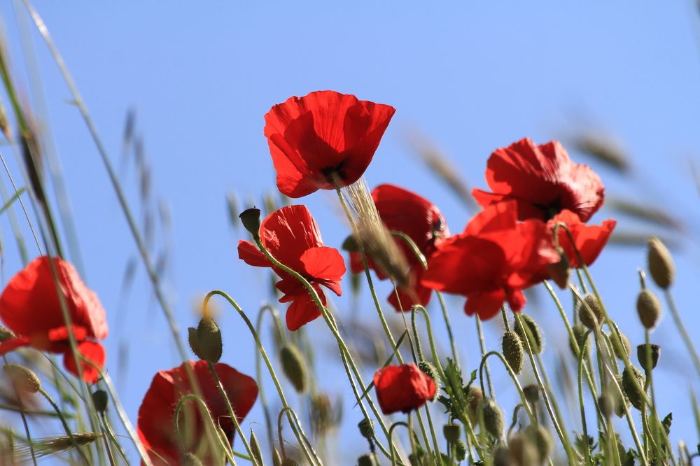 Photograph by Nadzeya