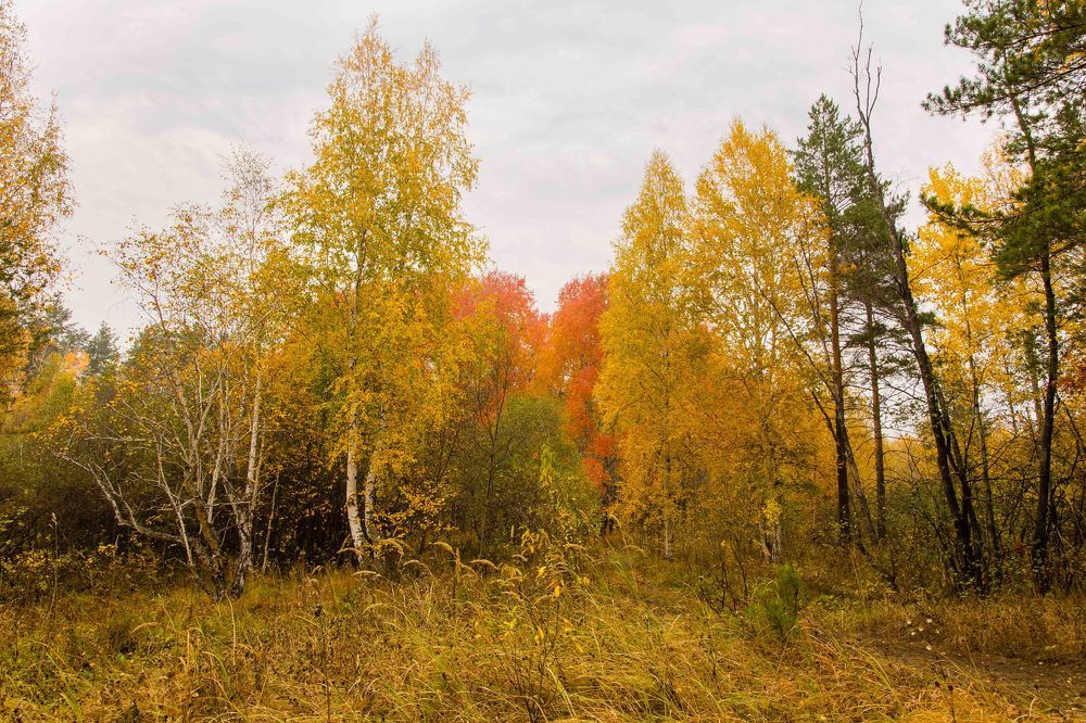 Photograph by Максим Фролов