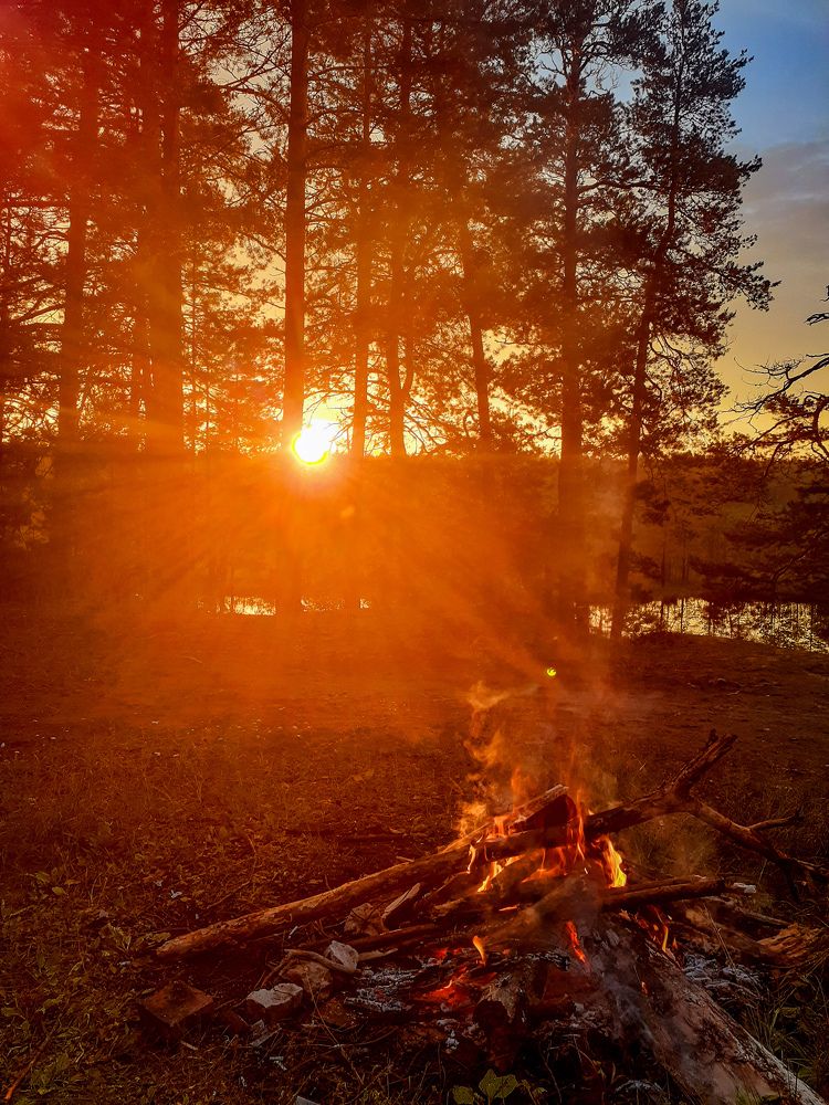 Photo #8097209