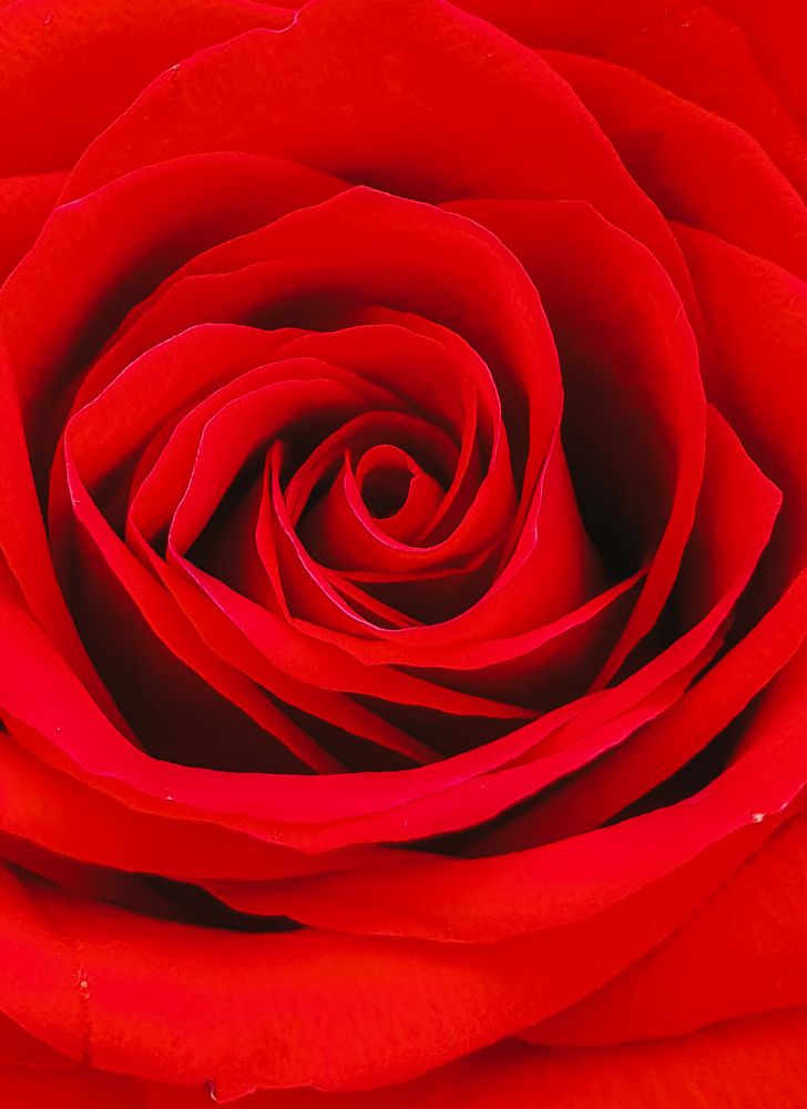 Фотография автора Аня