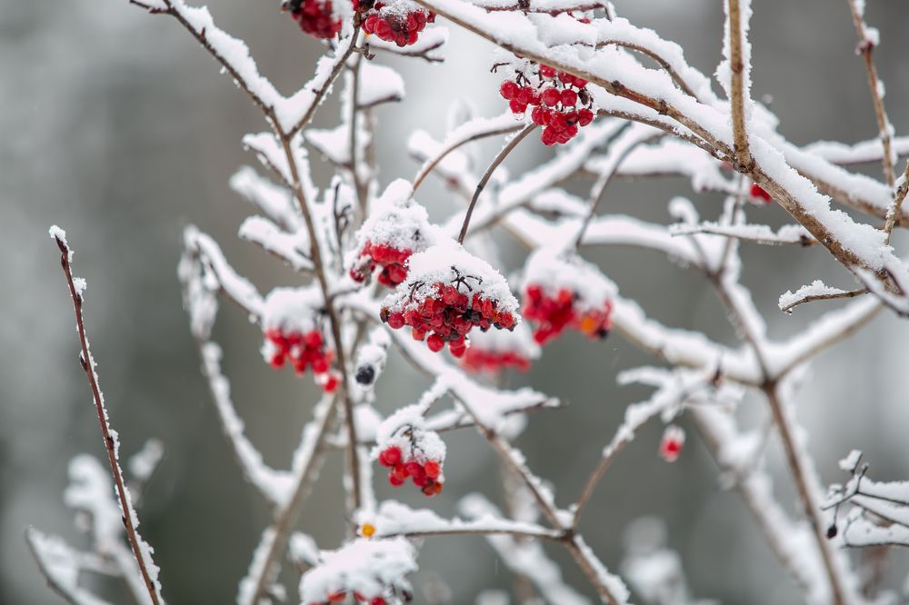 Photograph by Наталья Катюжанская