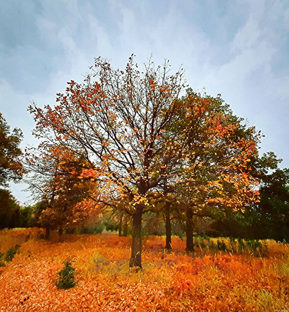 Photograph by Денис Геранькин