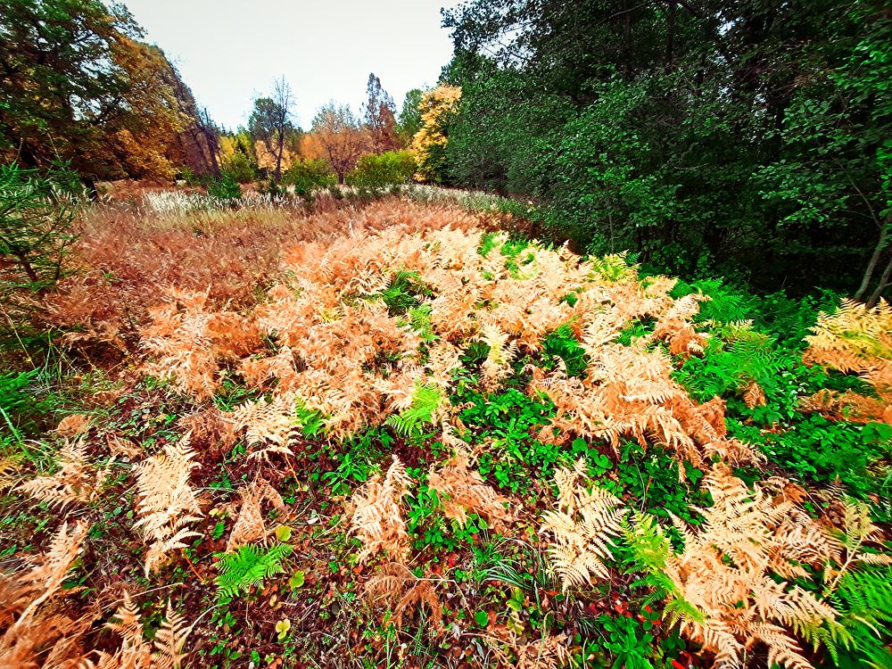 Photograph by Денис Геранькин