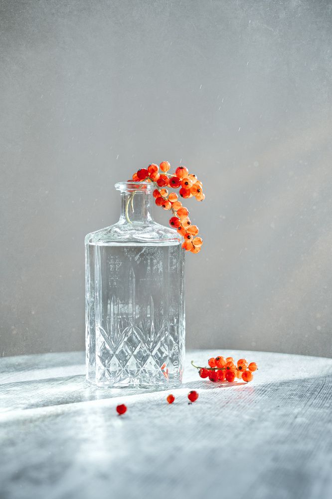 Фотография автора Ольга Рязанова