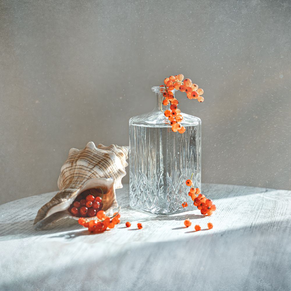 Фотография автора Ольга Рязанова