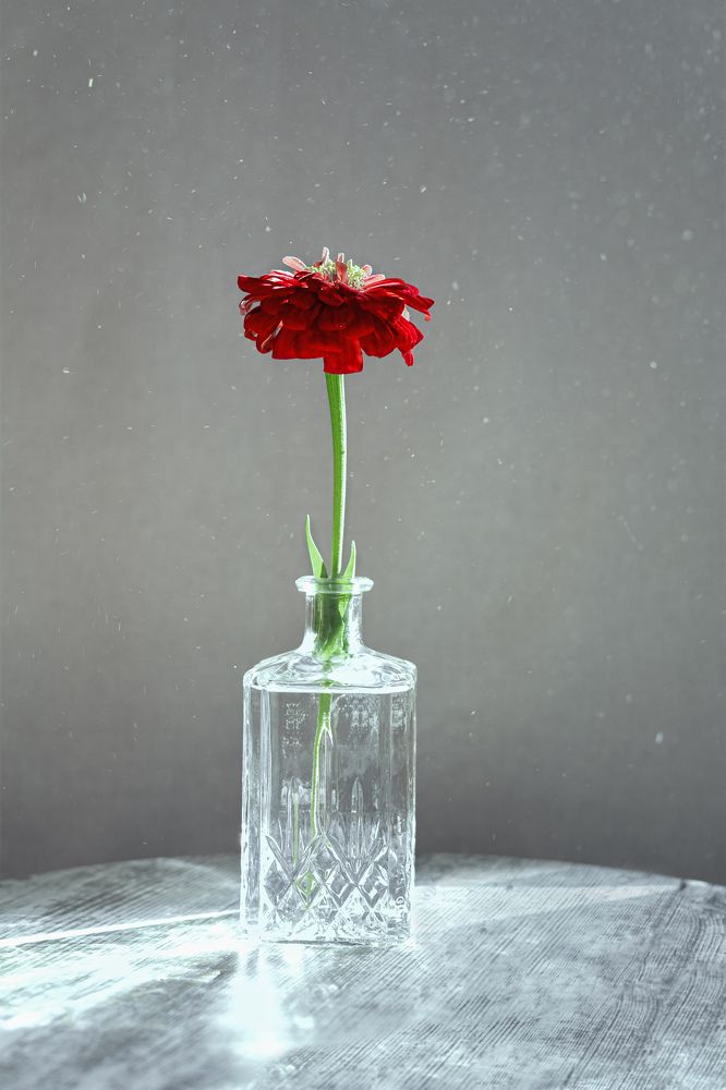 Фотография автора Ольга Рязанова