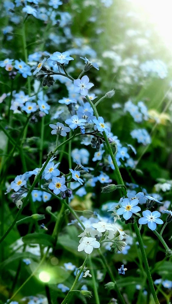Photograph by Светлана Шляпугина