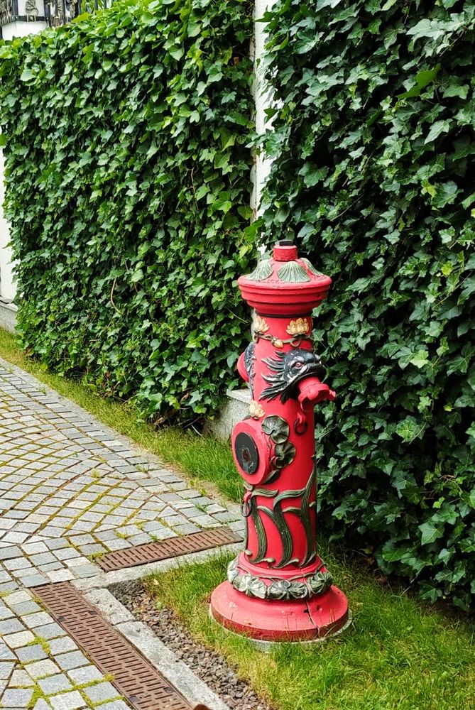 Фотография автора Светлана Смирнова