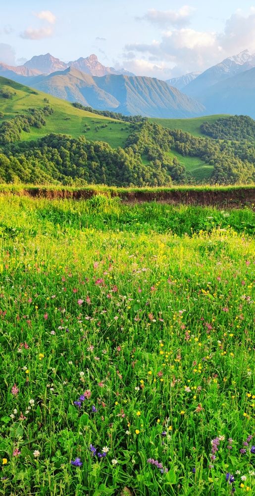 Photograph by Наталья Саенко