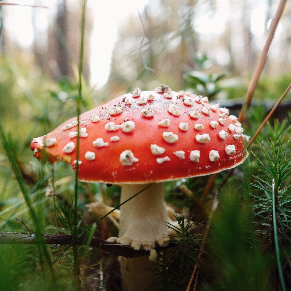 Photograph by Василий Селиванов