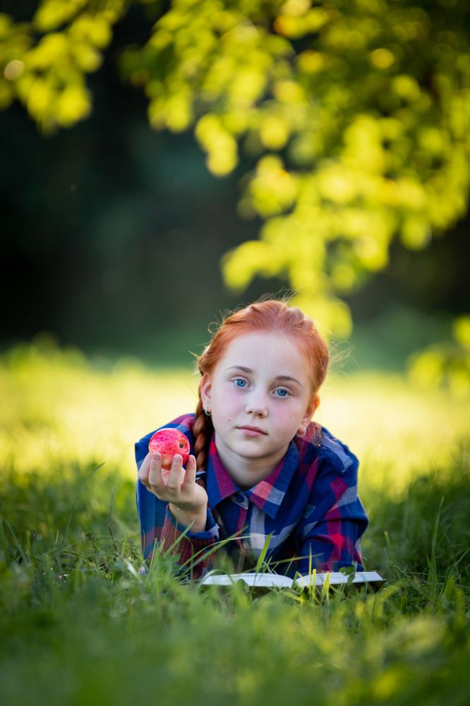 Солнечный сад