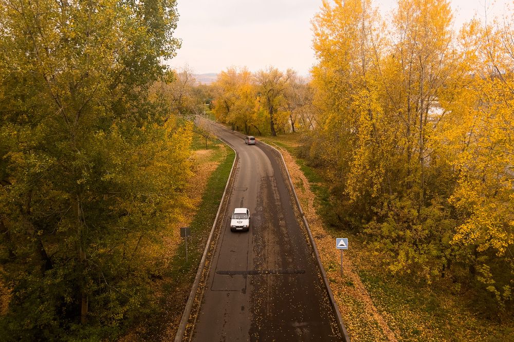 Дорога в осень