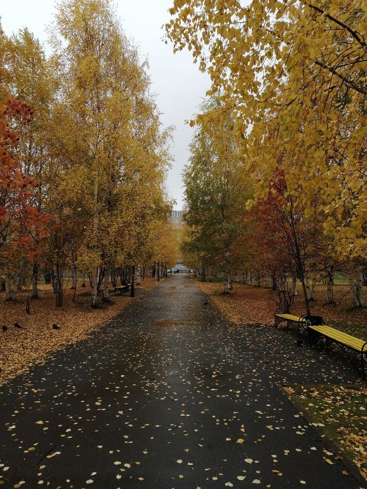 Photograph by Виталий Са