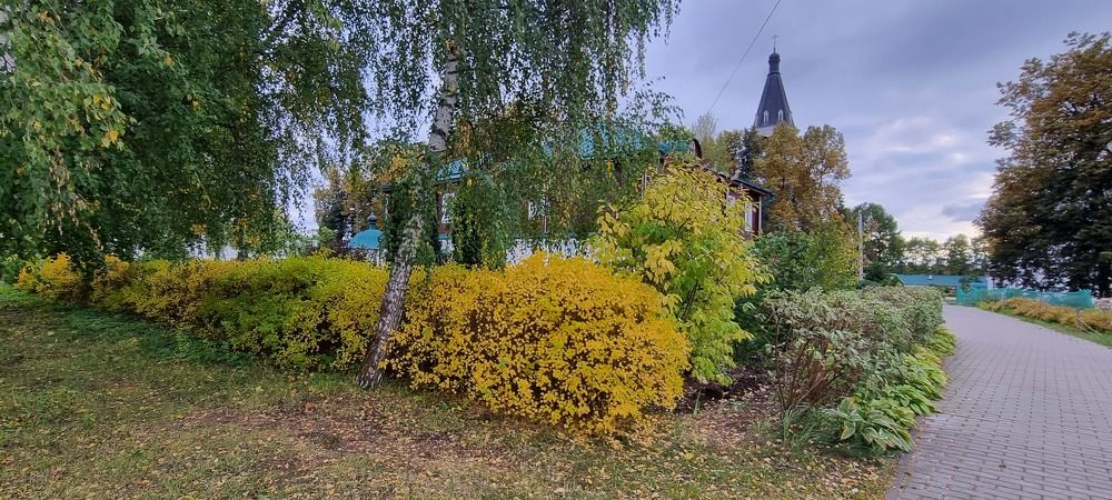 Фотография автора Марина Карасева