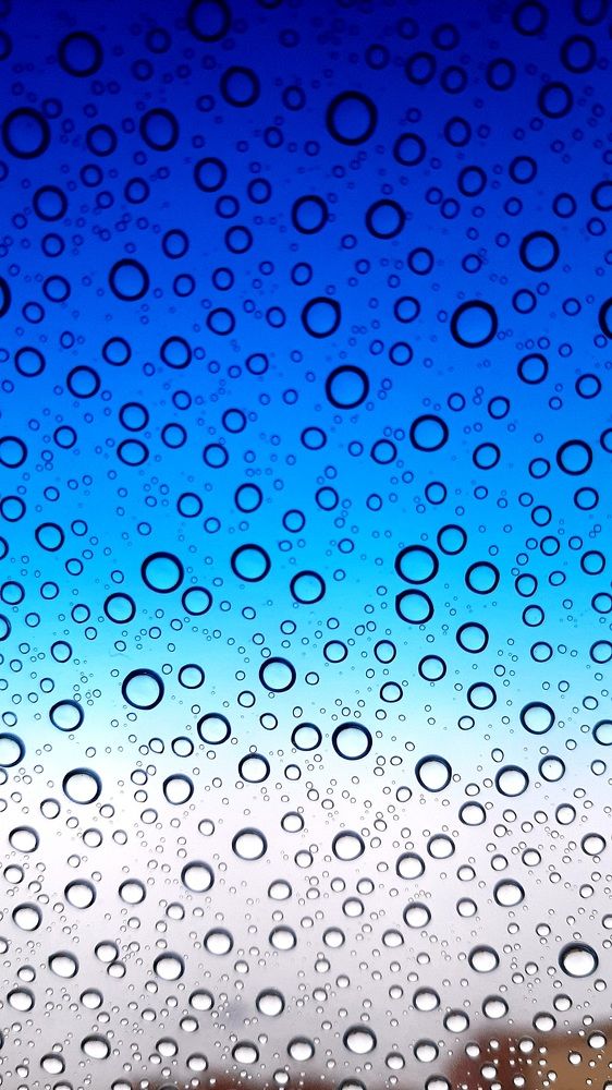 Photograph by Katsiaryna Feaktsistava