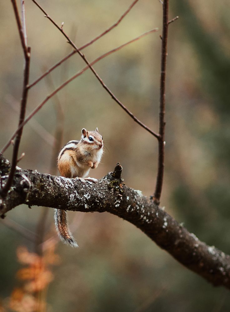 Photograph by Виктор Бабинцев