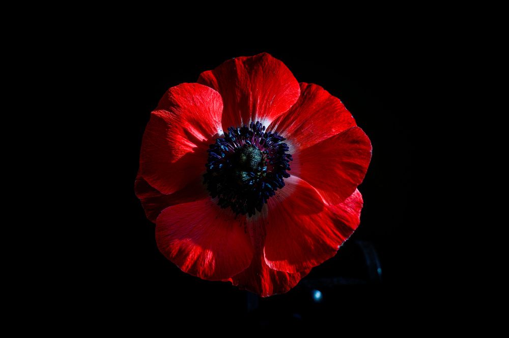 Photograph by Sergey Uskov