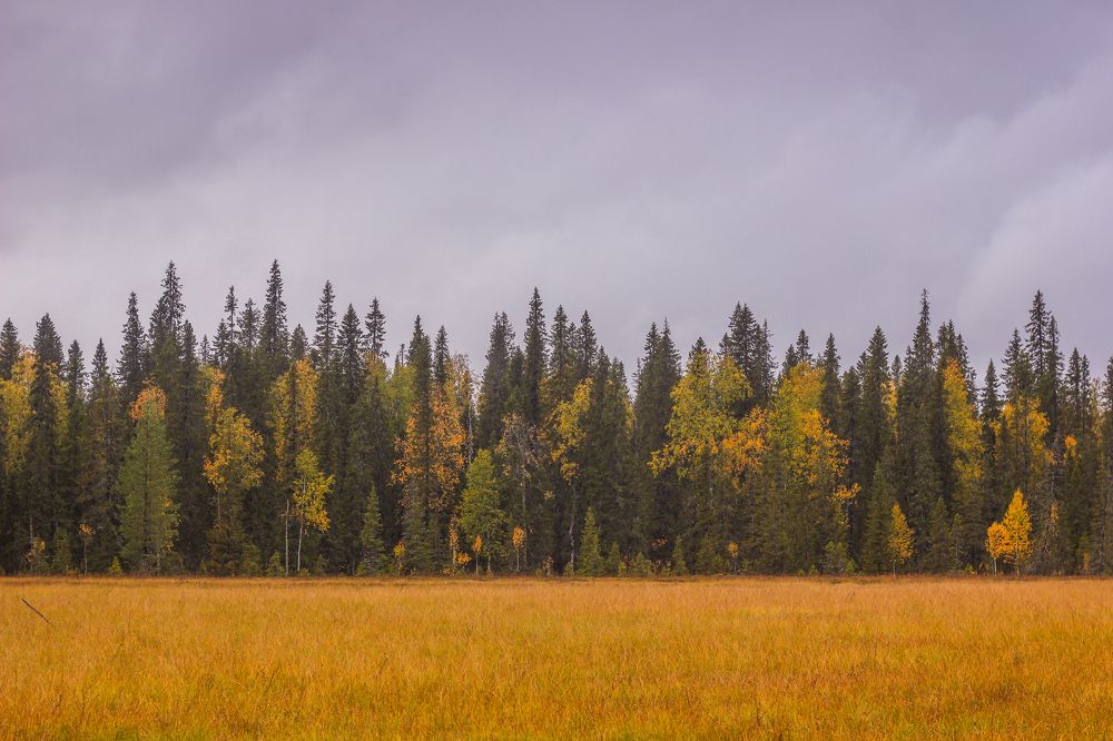 Photograph by Yulia Kryukova