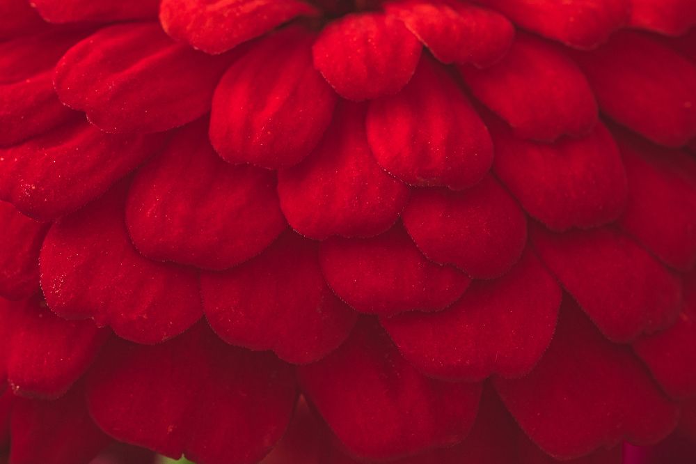 Photograph by БОРИС БЕЛКАНИЯ