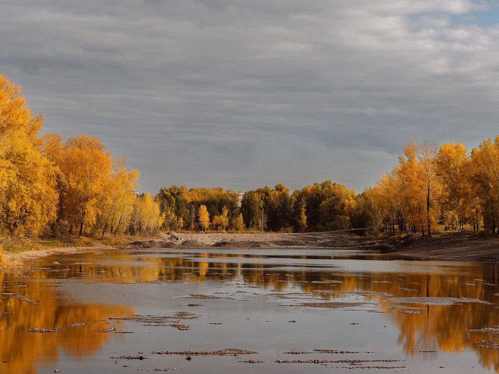 Photograph by Rogozina Olga