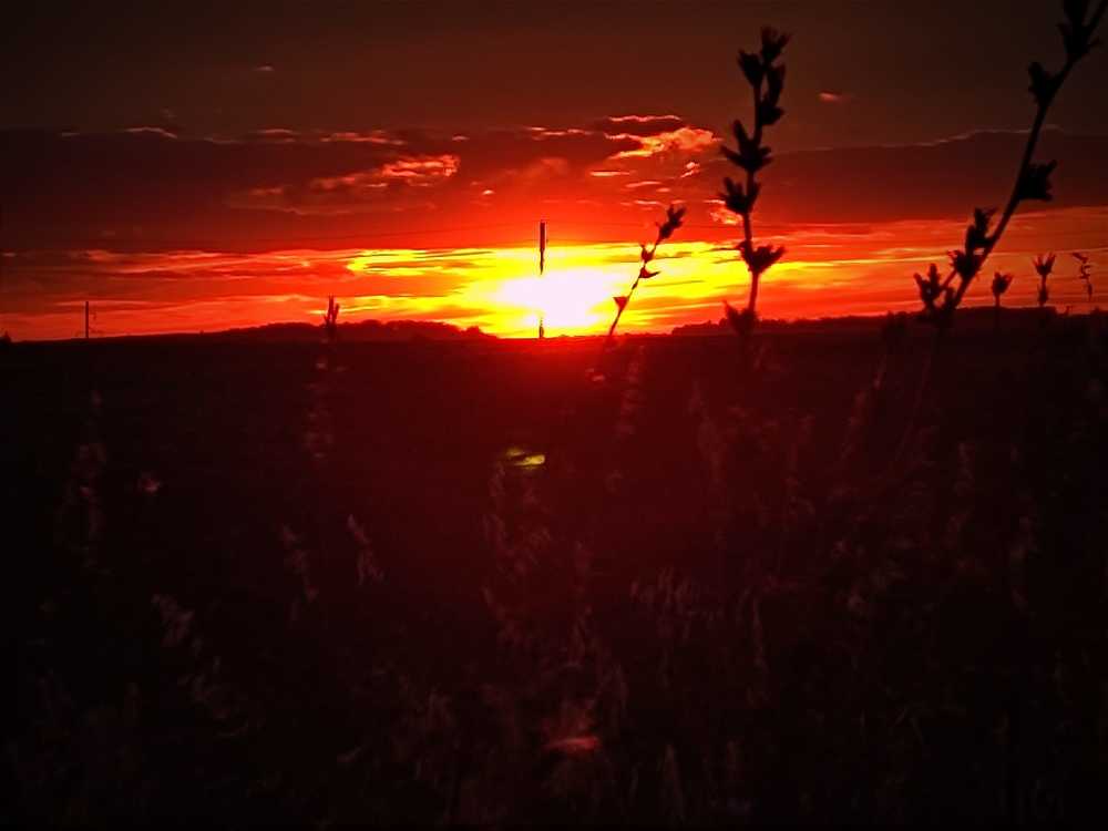 Photograph by Алена Власовец