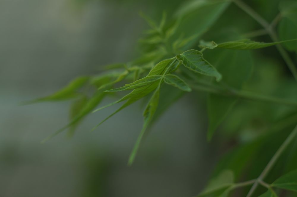 Photograph by Анастасия Моисеева