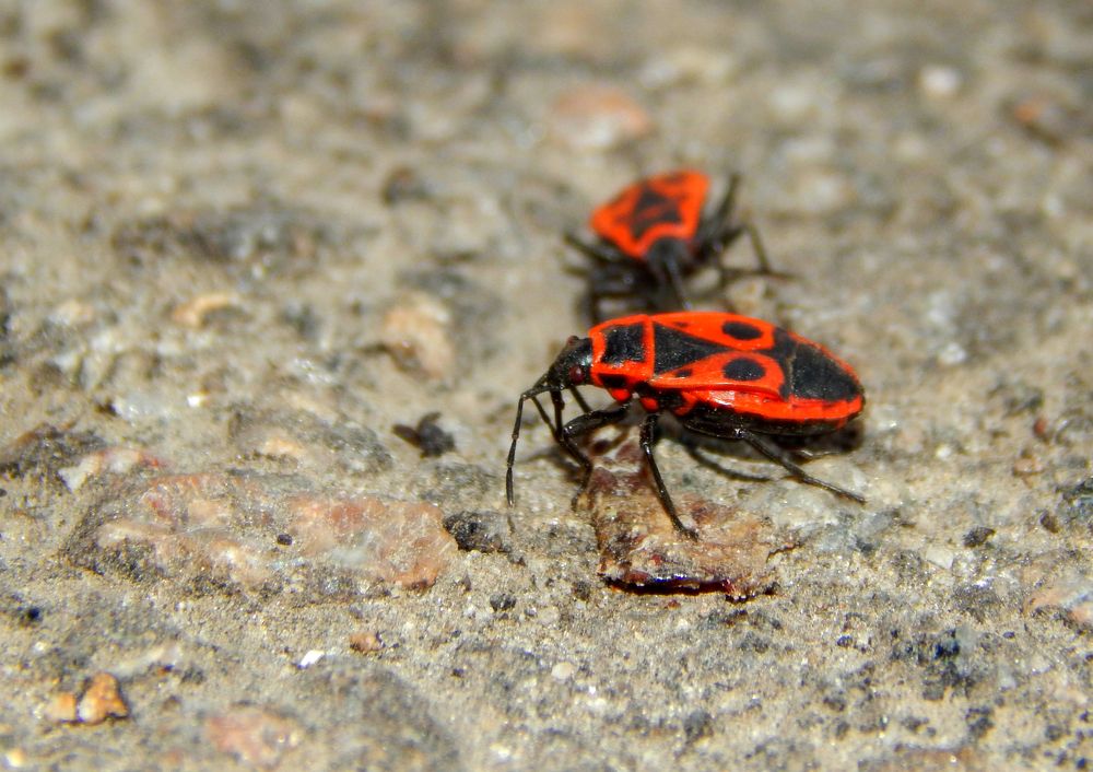 Photograph by Анастасия Моисеева