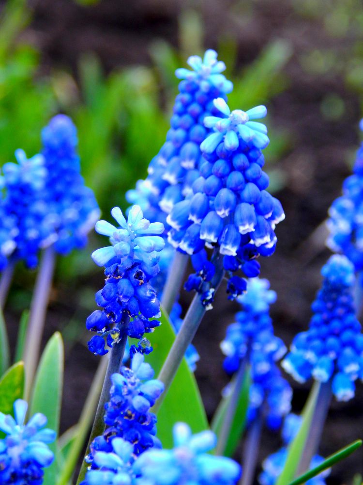 Photograph by Анастасия Моисеева