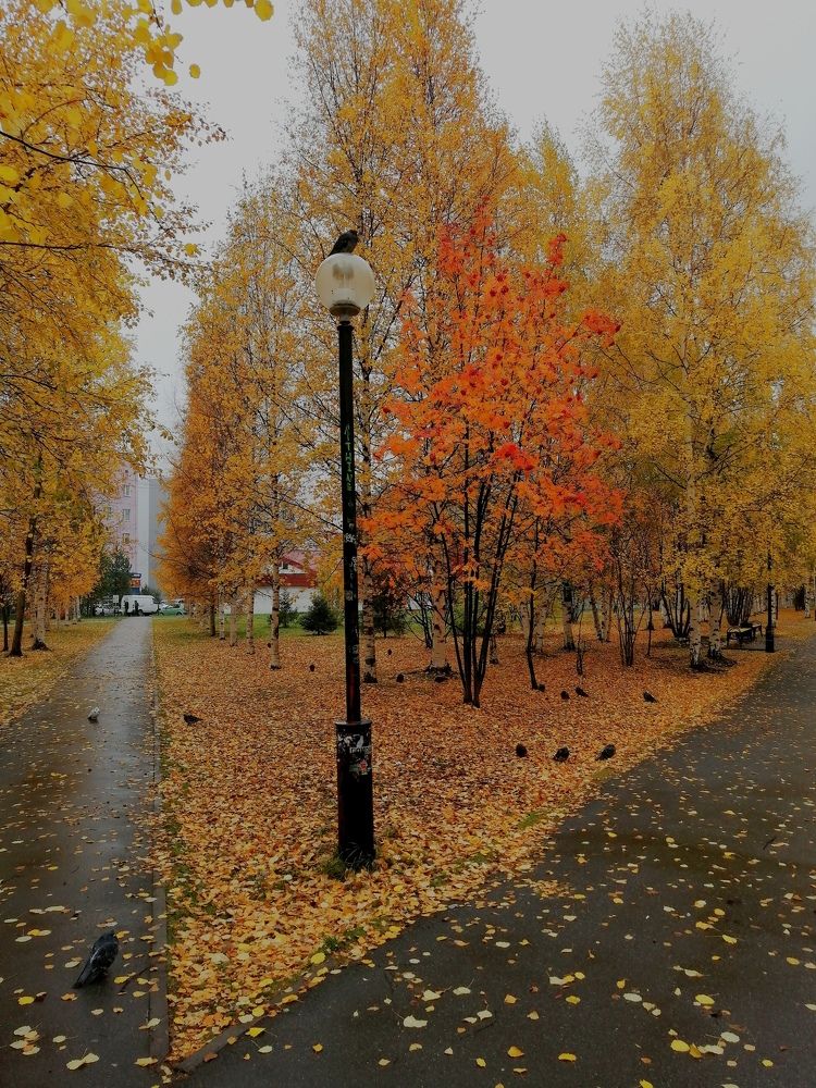 Photograph by Виталий Са