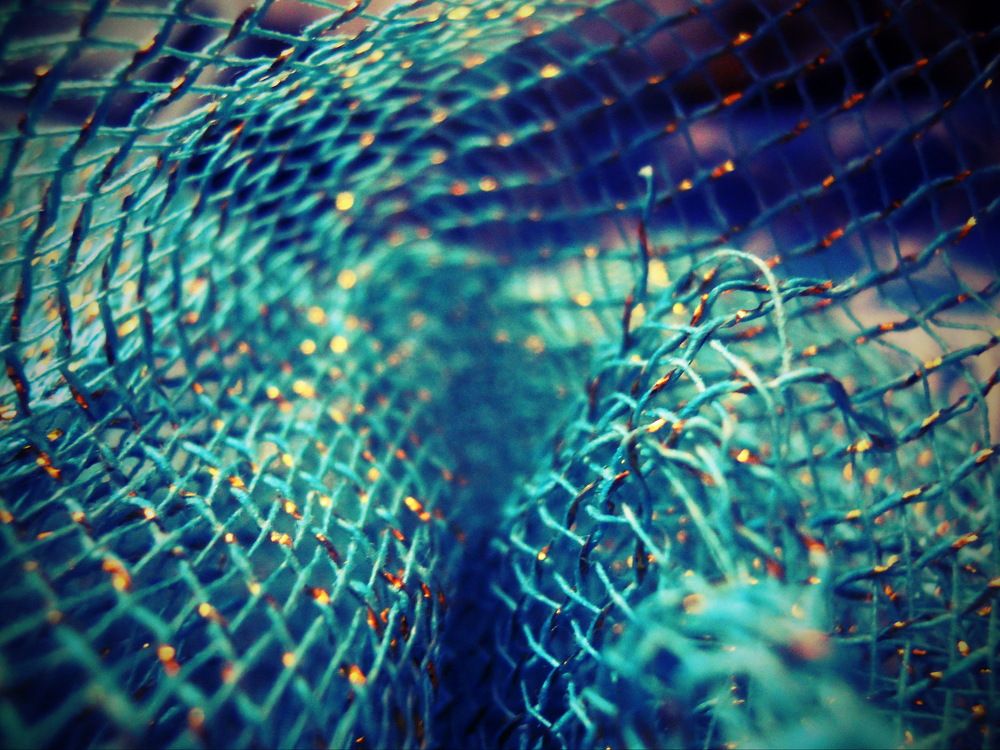 Photograph by Анастасия Моисеева