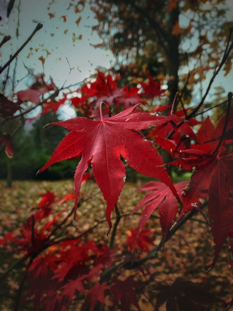 Photograph by Татьяна Семёнова