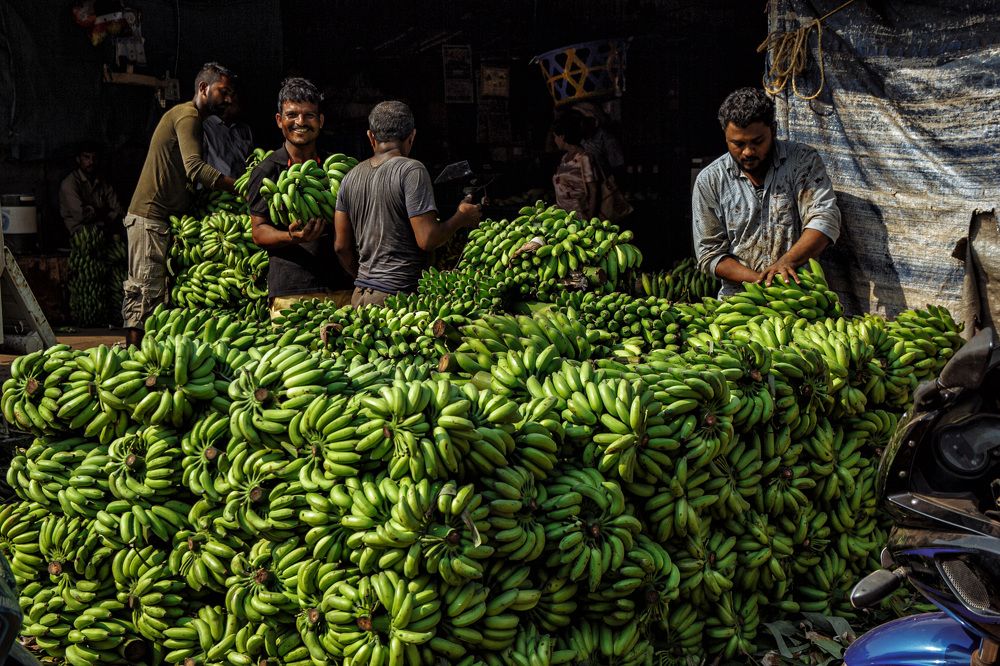 Обычный день