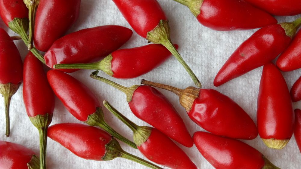 Photograph by Анастасия Моисеева