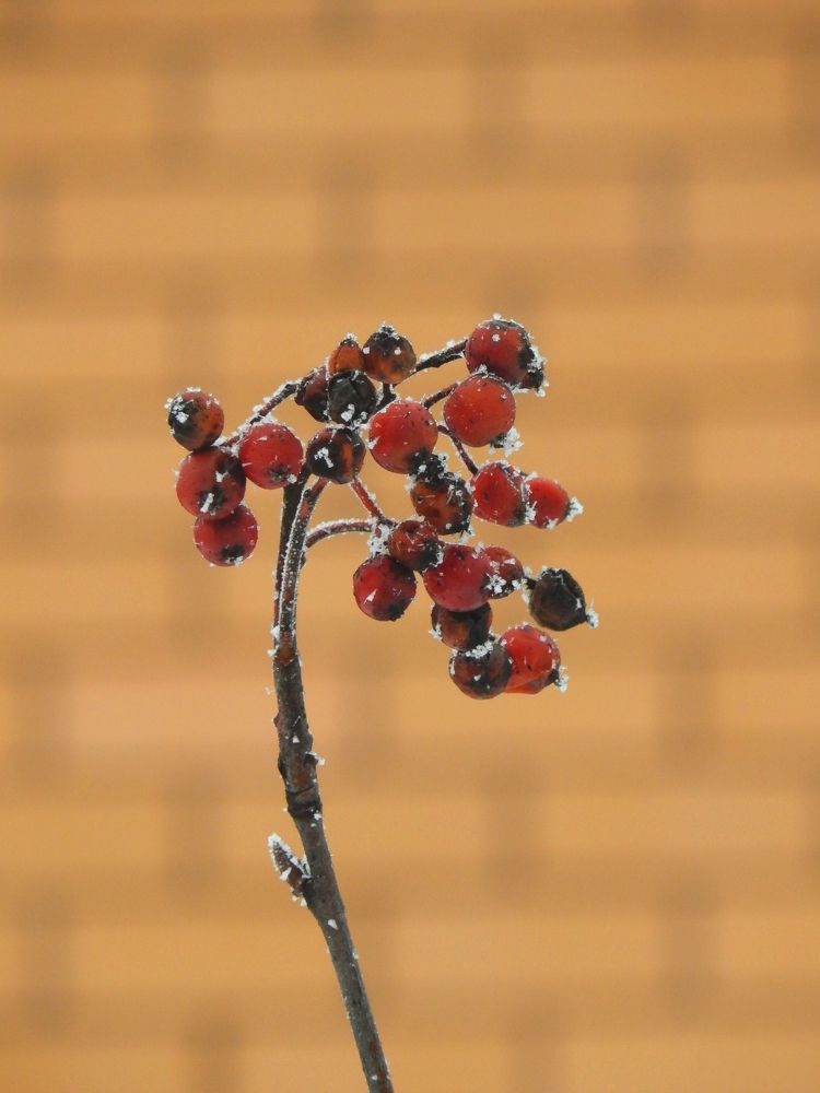 Photograph by Анастасия Моисеева